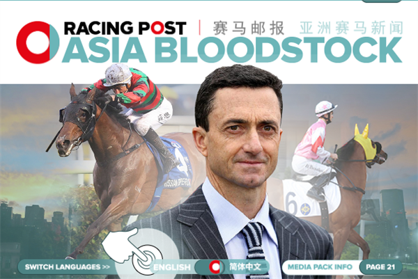 放开配种数量:美国肯塔基取消种马一年配种140匹母马的上限规定丨全球赛马一周精彩呈现 大陆马 (1).png