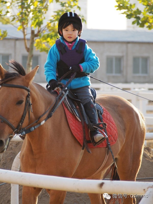 中联骑士联盟《我与马儿亲密接触》摄影大赛第四期投票 大陆赛马网3.jpeg