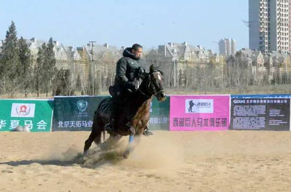 北京马协西部牛仔大奖赛1月23日寒风中开赛3.jpg