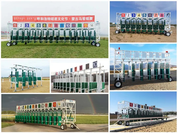 北京威斯恩国际马术设备有限公司:中国马术设备领军企业! 大陆马 (33).jpg