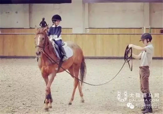 章子怡带着4岁女儿去上马术课啦!为啥明星们都送孩子去骑马? 青马网大陆马 (9).jpg
