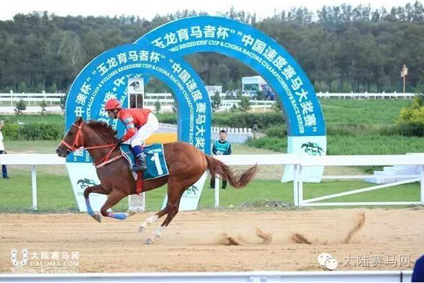 《马上聚焦》玉龙赛马日视频全记录+竞猜游戏中奖名单 15.jpg