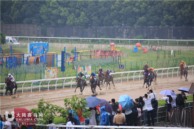 2016武汉速度赛马公开赛上半程收官赛 大陆赛马网 (7).JPG