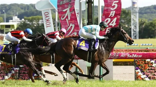 “勇敢策略”志在成为日本赛马史上首匹无败三冠雌马 大陆赛马网.jpg