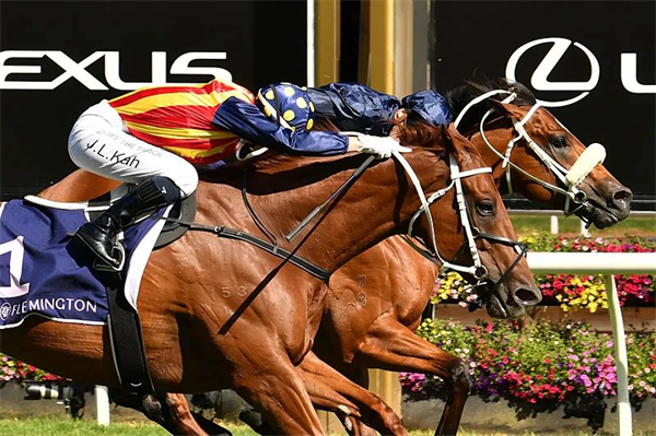 终结17年没有三岁公马摘桂纪录:“家事国事”勇夺一级赛鱼子精华闪电锦标 大陆马.jpg