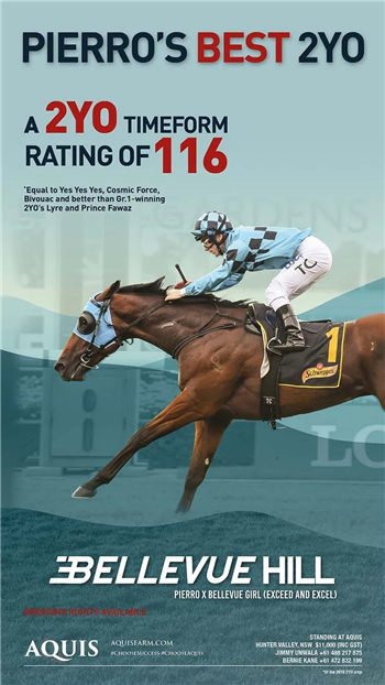 Aquis Farm雅士牧场与日发牧马堂共有三岁公马“碧蕙山”退役配种:已有两匹“皮耶罗”子嗣种公马 大陆赛马网 (5).jpg