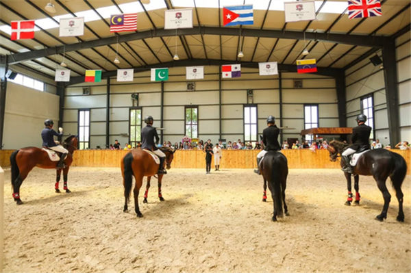 哈尔滨体育局局长:我们要“种草”马术和赛马,这是哈尔滨四大“潮”! 青马网大陆马 (1).jpg