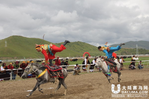 红原藏族男儿秀马术 民运会多次夺冠.jpg