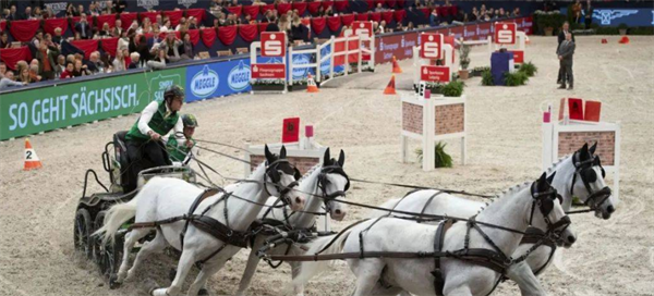 最激烈的马车世界杯大赛落幕,荷兰驭手二次加冕 大陆马 (1).png