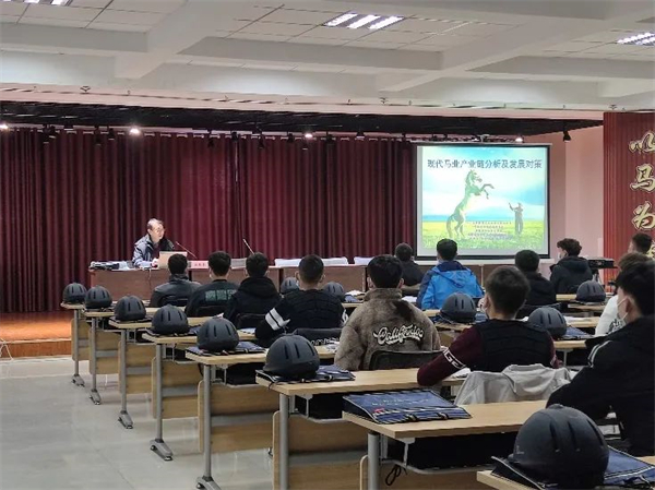 新疆马产业将“跑出”200亿!大陆马 (4).jpg