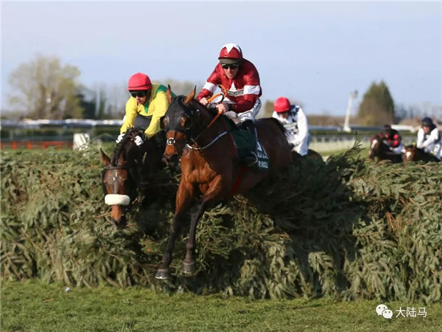 二战后首次!全球最刺激100万英镑英国国家障碍大赛因新冠疫情取消 大陆赛马网.jpg