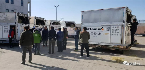 疫情后中国首架运马包机!玉龙马业75匹进口纯血马从爱尔兰顺利抵沪! (5).jpg