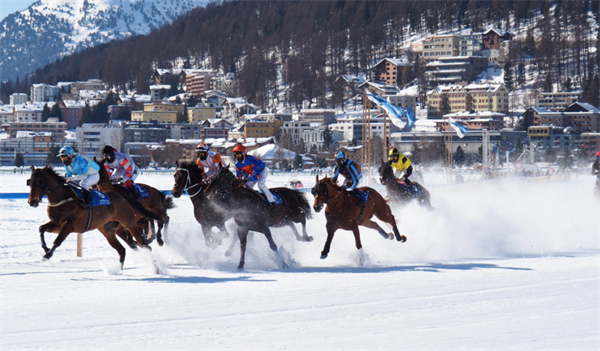 当“冰雪”遇到“赛马”:瑞士圣莫里兹雪地赛马节最负盛名 大陆马 (1).png