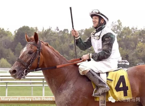 一周全球赛马新闻精选NO.2:中国俱乐部海外狂揽5冠,美总统选举频提赛马 大陆赛马网6.jpg