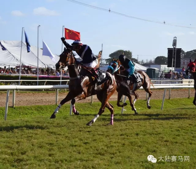 中国内地的速度赛马进入冬歇期,但中国赛马人的海外捷报频传,这一次为我们带来喜讯的是大陆目前唯一在国外征战的骑师——覃勇 (5).jpg