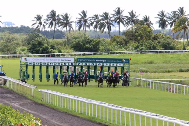 加勒比“疯狂”的可不止是海盗!那里的赛马超出我们想象! 大陆赛马网 (10).jpg