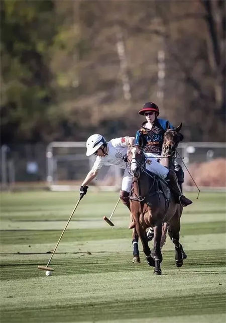 中国新生代马球手亮相英国御林军赛事 大陆马 (2).jpg