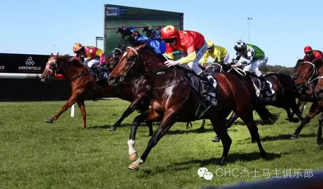 一周时间4个国家5个冠军：CHC杰士马主俱乐部全球布局步伐加快