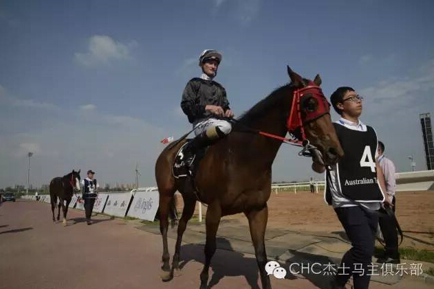 驭马奔腾 助力体育强国民族梦——CECF鄂尔多斯驭马文化节圆满收官 10.jpg