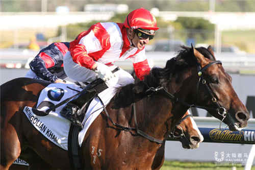 莱德马业“蒙古可汗”本周六出赛150万澳元奖金的宝马赛(2400米).jpg
