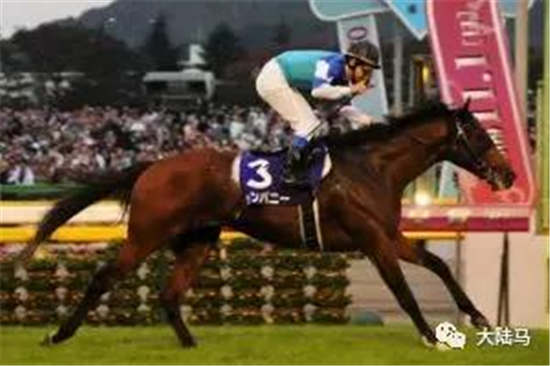 日本赛马史上第一匹以八岁“高龄”赢得一级赛的赛驹离世 -大陆赛马网.jpg