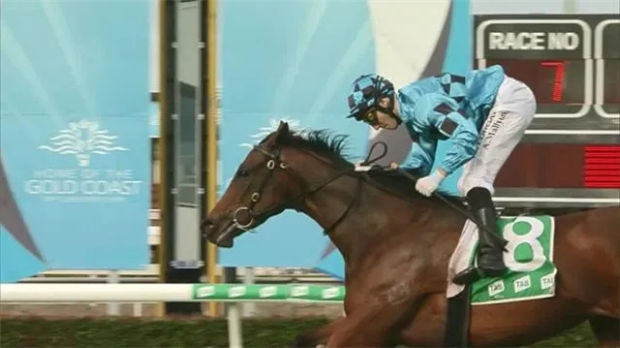 Aquis Farm雅士牧场3岁雌马“胜利飞翔”勇夺第三冠:父系“我志气高” 大陆赛马网 (1).jpg