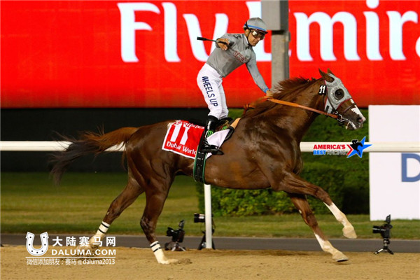 美国马王“加州铬”轻松问鼎1000万美元迪拜赛马世界杯 大陆赛马网
