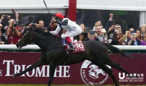 2016世界纯血马坛16大看点(下)1.jpg