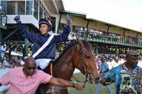 中国骑师在巴巴多斯最大赛事日上夺冠 (2).jpg