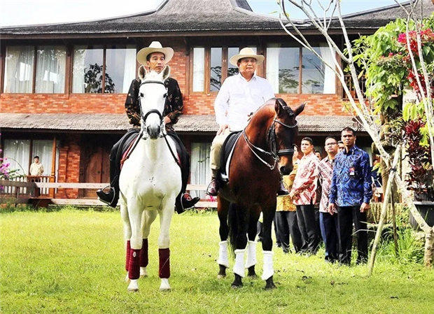 世界各国领导人的马背照片为何越来越多? 大陆赛马网 (10).jpg