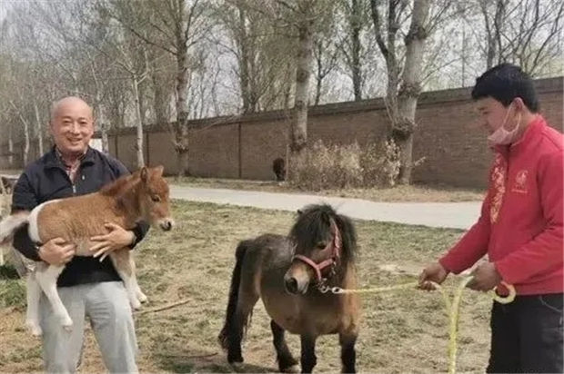 “天上飞的、地上跑的”冠军都被他拿了!马主高建鸥赛鸽又拿总冠军 大陆赛马网 (4).jpg