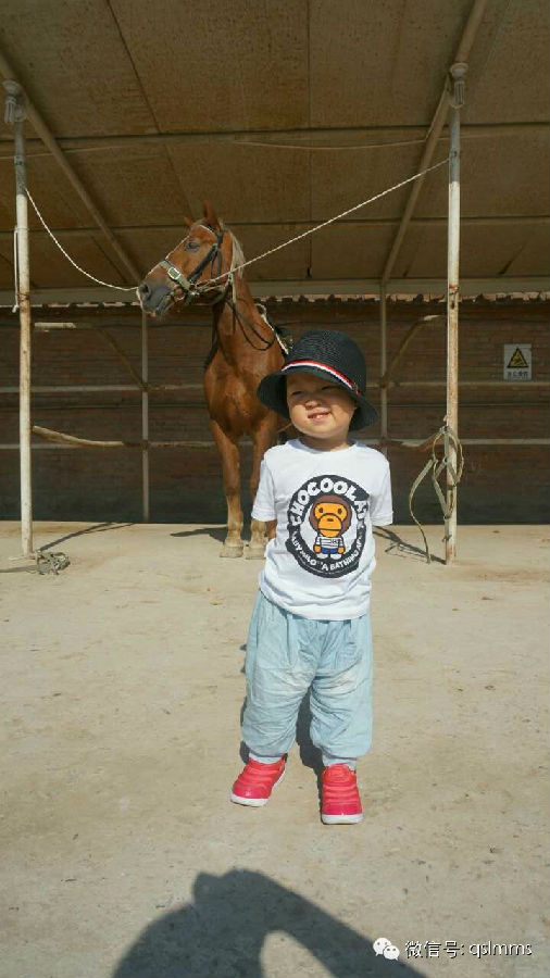 中联骑士联盟《我与马儿亲密接触》摄影大赛第三期投票 大陆赛马网2.jpeg