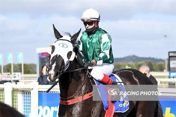 玉龙马业自主繁育2岁雌马“未来力量”澳洲夺冠:父系“书写大亨” 大陆赛马网 (3).jpg