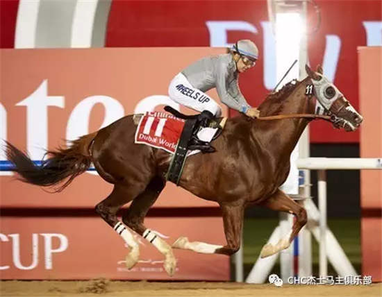 “加州铬”大年初一出征全球最高奖金1200万美元“飞马世界杯” (1).jpg