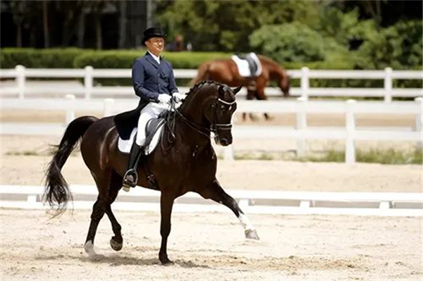 盛装舞步国家队骑手顾兵青少年骑手需要具备的五个条件 大陆马 (2).jpg