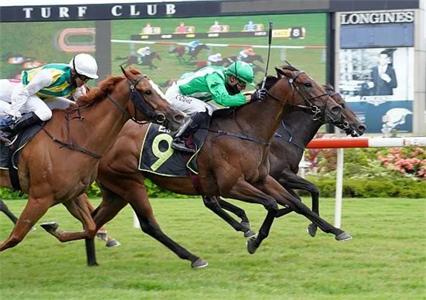 世尊”新加坡夺冠,为隔离中的练马师伯里奇送去喜报 大陆马.jpg