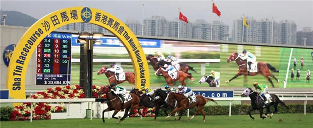 香港赛马会在殷利殊复活节拍卖会斥资数千万购入九驹:最高价76万澳币 大陆赛马网.jpg