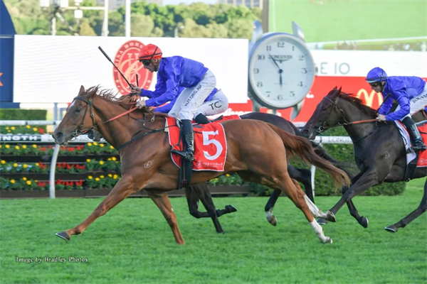 CHC杰士马主俱乐部20万澳元赞助澳洲三级赛:高多芬包揽前四 大陆马 (1).jpg