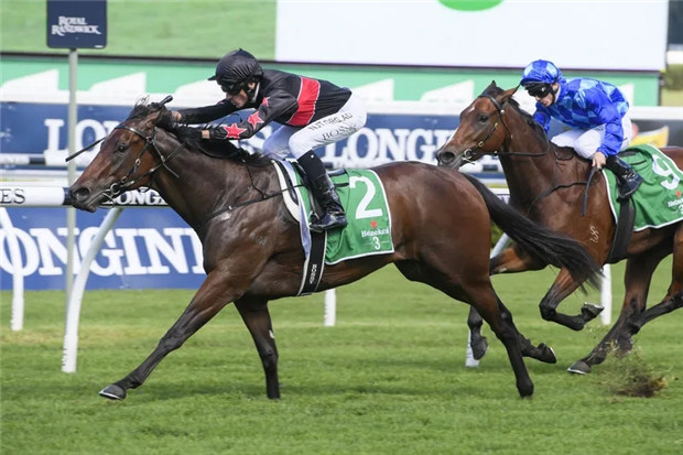 Aquis Farm雅士牧场2岁雌马“客场比赛”二级赛夺冠 奖金已超1200万 大陆赛马网 (3).jpg