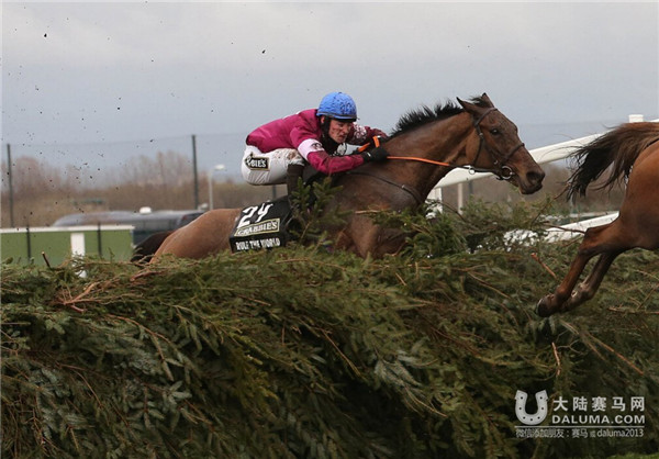 39匹马参赛23人坠马!19岁骑师2016英国国家障碍大赛马夺冠 大陆赛马网 (4).jpg