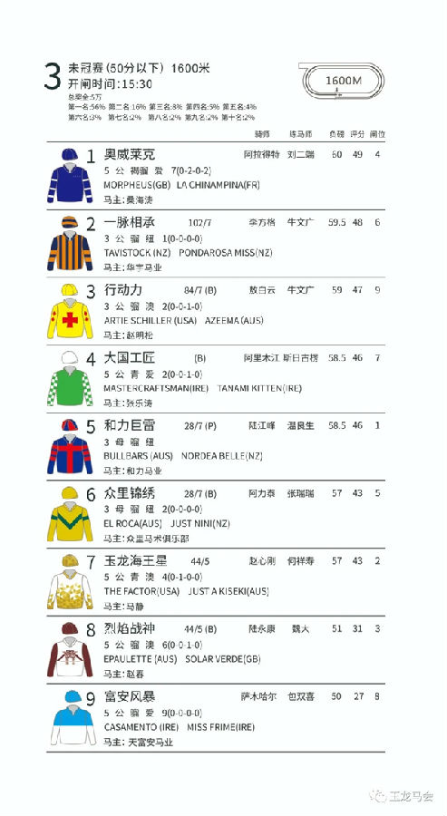 玉龙马业,国产马赛事,玉龙公开赛,赛马,马术,玉龙赛马 (3).jpg