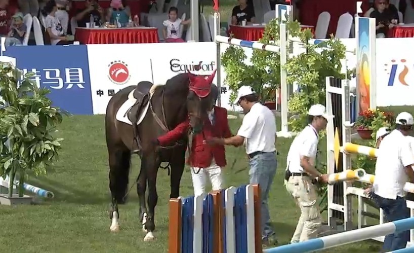 选手坠马 西坞国际马术大奖赛 大陆赛马网