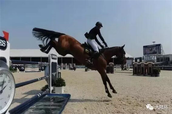 花三个亿为女儿养马,原来有钱人家这么养娃 大陆马 大陆赛马网 (29).jpg