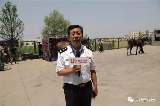 玉龙马业,81,澳洲纯血马,包机,太原机场,进口马匹,历史3.jpg