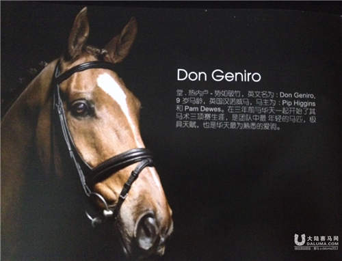 骑手华天携三匹里约奥运马在枫丹白露宫打响2016年第一仗 (2).jpg