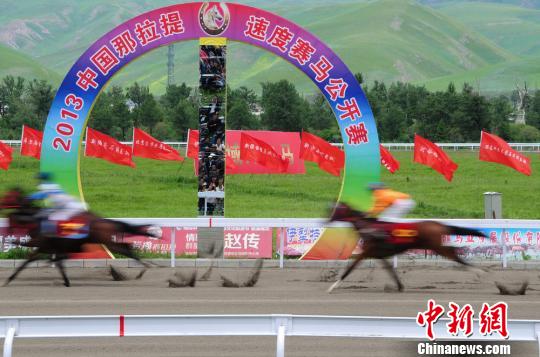 新疆“那拉提大草原”办西北最大速度赛马比赛（图）