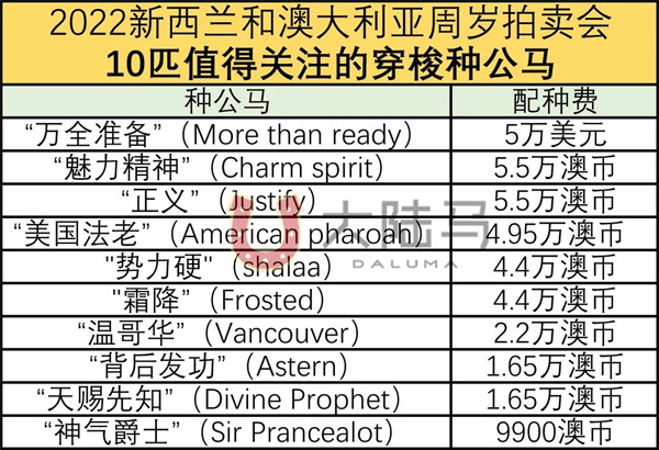 全年配种不停歇:南半球10匹大受欢迎的“穿梭种公马”! 大陆马 (2).jpg