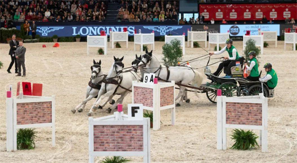 最激烈的马车世界杯大赛落幕,荷兰驭手二次加冕 大陆马 (2).png