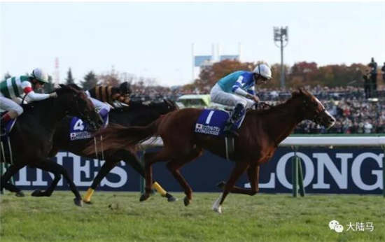 “日本杯”一役诞生世界最佳骑师:南半球布文PK北半球莫雅胜出2.jpg