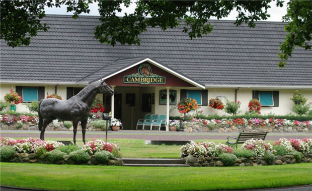 新西兰剑桥牧场携手德亚图赛马发力澳洲春季赛马嘉年华 大陆赛马网.jpg